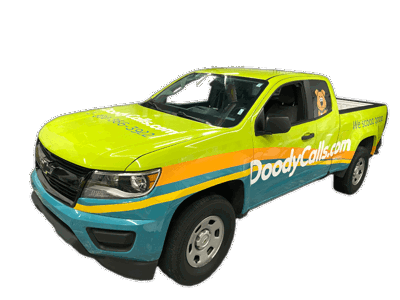 Vehicle Graphics Photo